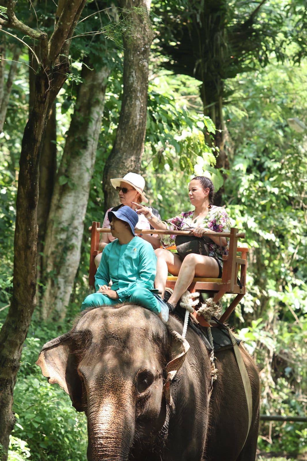 Trip Bali Tour — scenic nature experience in Bali